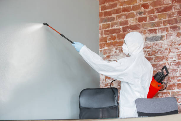  , USA Mold Removal Pros